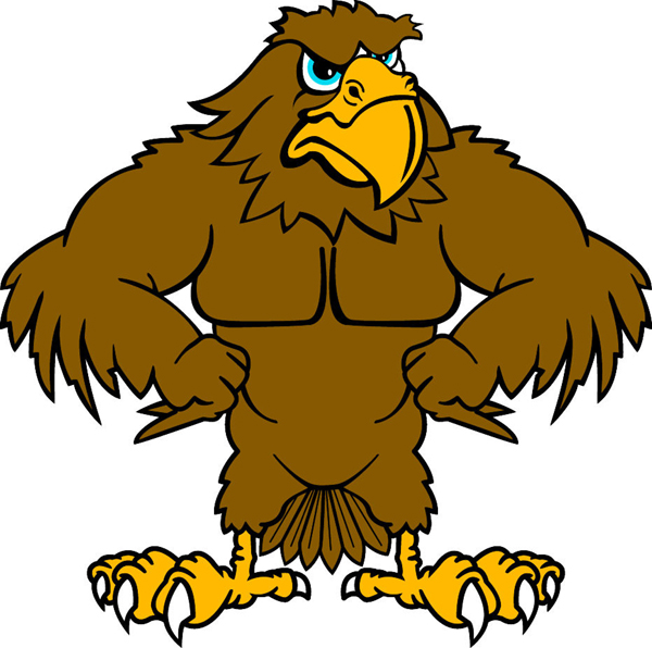 Hawk team mascot full color vinyl sports sticker. Customize on line. Hawk 1